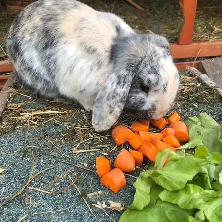 Apartment Granbichlhof *