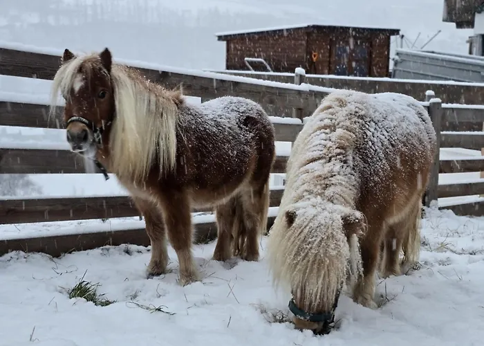 Granbichlhof Apartment Sölden