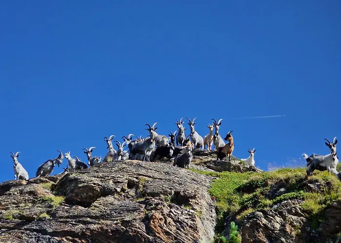 Granbichlhof * Sölden