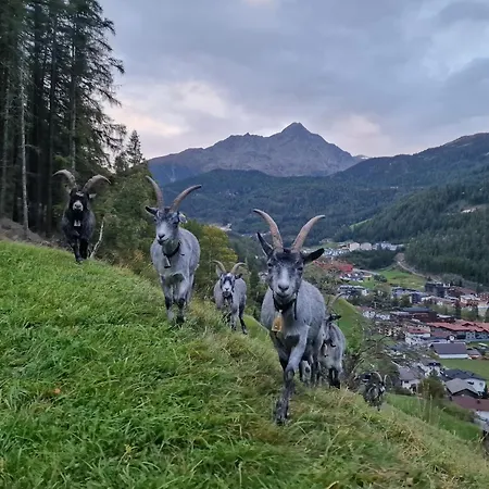 アパート Granbichlhof *