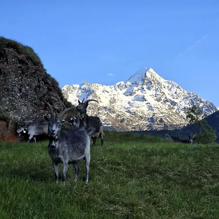 Granbichlhof * ゼルデン