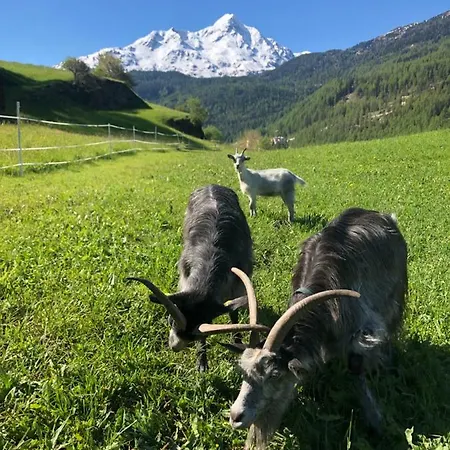 Granbichlhof Lejlighed *