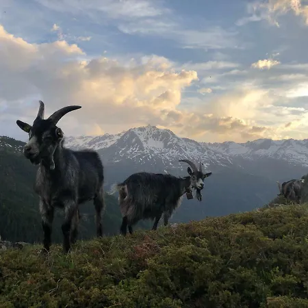 Granbichlhof Lägenhet