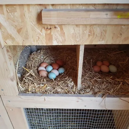 Granbichlhof Lejlighed *