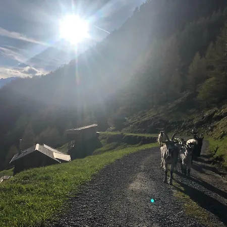 Apartmán Granbichlhof