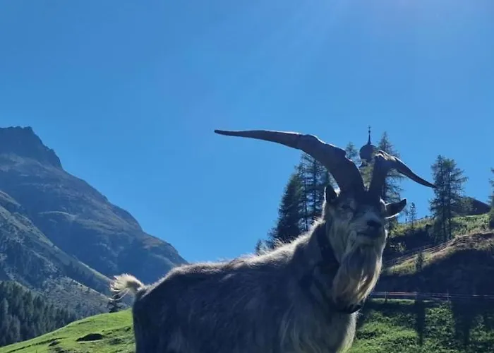 Granbichlhof Appartement Sölden