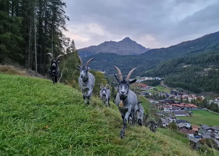 Appartement Granbichlhof *