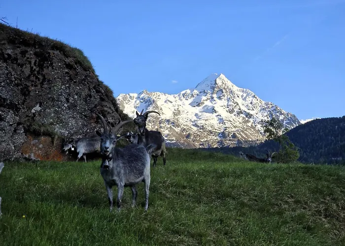 Granbichlhof * ゼルデン