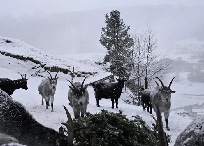 Granbichlhof * ゼルデン