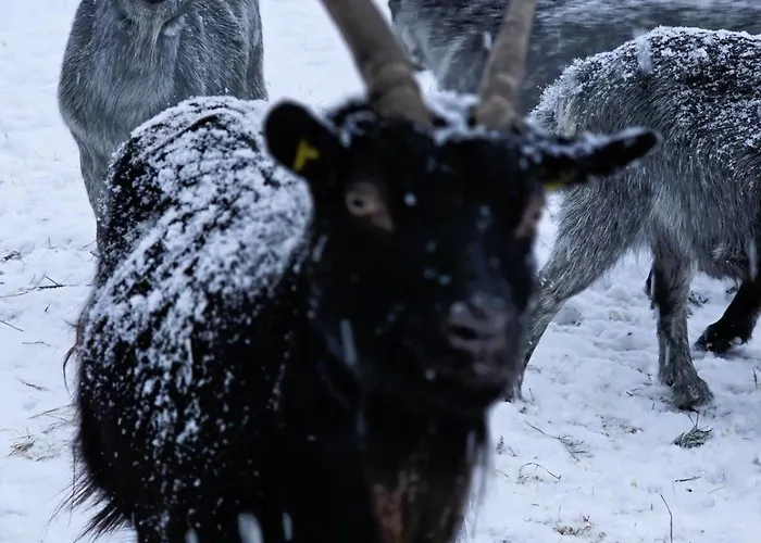 Granbichlhof アパート ゼルデン