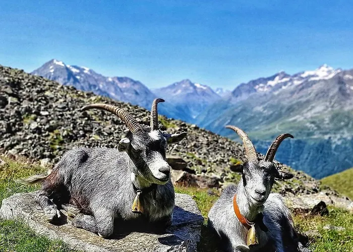 Lejlighed Granbichlhof *