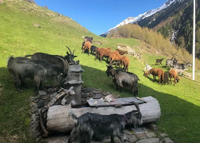 Daire Granbichlhof Sölden