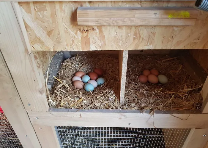 Granbichlhof Appartement *