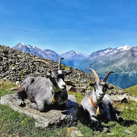 Apartmán Granbichlhof *