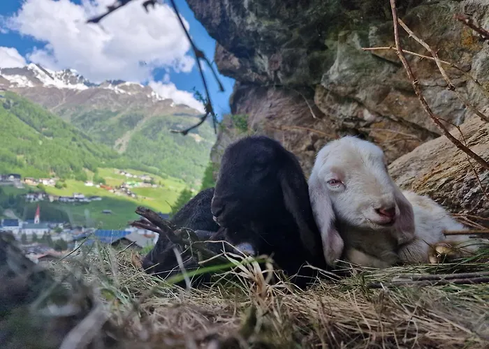 Granbichlhof Apartman